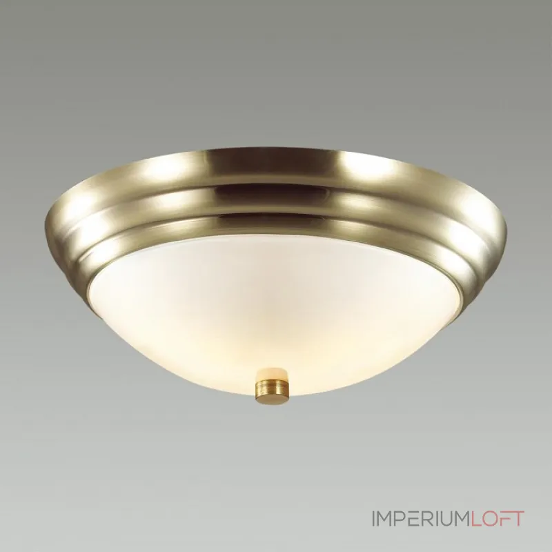 Накладной светильник Lumion Kayla 5262/2C