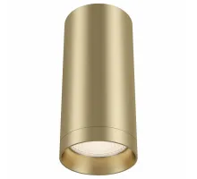 Потолочный светильник Technical C010CL-01MG