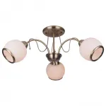 Потолочная люстра TopLight Octavia TL3760X-03AB 