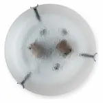 Потолочный светильник TopLight Julianna TL9301Y-02SM 