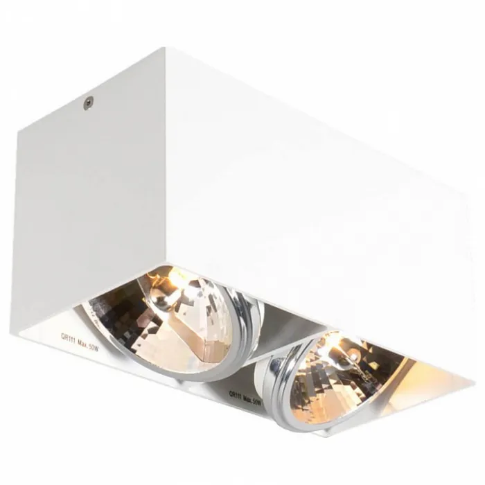 Спот Zumaline Box Sl 89949-G9 от ImperiumLoft