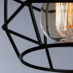 Накладной светильник Arte Lamp 1109 A1109PL-1BK Цвет арматуры черный Цвет плафонов черный