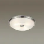 Накладной светильник Odeon Light Pelow 4957/4 от ImperiumLoft