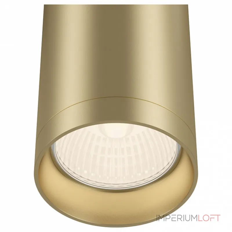 Накладной светильник Maytoni Alfa C010CL-01MG Цвет арматуры латунь Цвет плафонов латунь от ImperiumLoft Накладной светильник Maytoni Alfa C010CL-01MG Цвет арматуры латунь Цвет плафонов латунь от ImperiumLoft