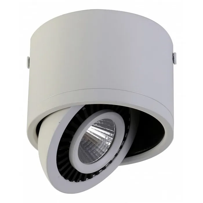 Накладной светильник Favourite Reflector 1776-1C от ImperiumLoft