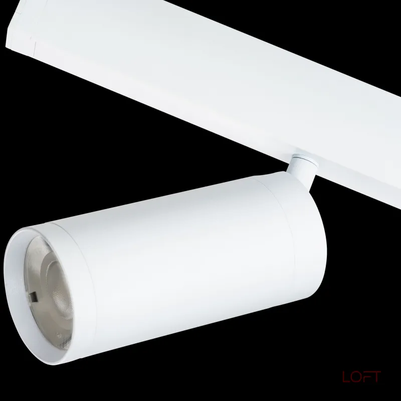 Светильник на штанге Lightstar Teta 205036 от ImperiumLoft Светильник на штанге Lightstar Teta 205036 от ImperiumLoft