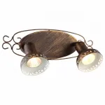 Спот Arte Lamp Focus A5219AP-2BR Цвет арматуры коричневый Цвет плафонов коричневый от ImperiumLoft