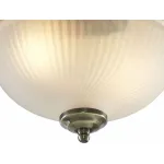 Потолочный светильник Arte Lamp Aqua A9370PL-2AB 