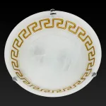 Потолочный светильник TopLight Gien TL9172Y-03BN 