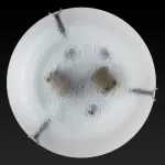 Потолочный светильник TopLight Julianna TL9301Y-02SM 