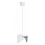 Подвесной светильник Ambrella TN TN70852