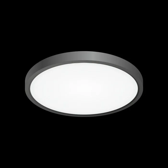 Накладной светильник Citilux Бейсик CL738241V Черный , плафон Белый от ImperiumLoft