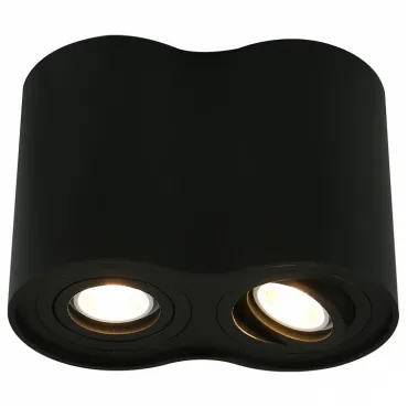 Накладной светильник Arte Lamp 5644 A5644PL-2BK Цвет арматуры черный Цвет плафонов черный