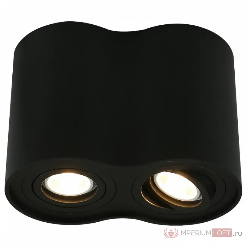 Накладной светильник Arte Lamp 5644 A5644PL-2BK Цвет арматуры черный Цвет плафонов черный от ImperiumLoft
