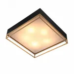 Накладной светильник ST-Luce Chodo SL1127.422.05 Цвет арматуры черный Цвет плафонов белый от ImperiumLoft
