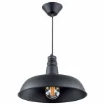 Подвесной светильник Citilux Эдисон CL450204 Цвет арматуры черный Цвет плафонов черный от ImperiumLoft
