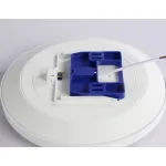 Накладной светильник Ambrella FZ FZ1220