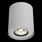 Накладной светильник Arte Lamp Falcon A5633PL-1WH Цвет арматуры белый Цвет плафонов прозрачный от ImperiumLoft