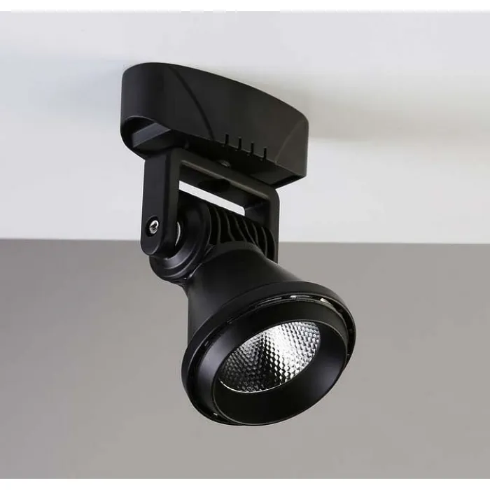 Настенно-потолочный прожектор Favourite Projector 1766-1U от ImperiumLoft