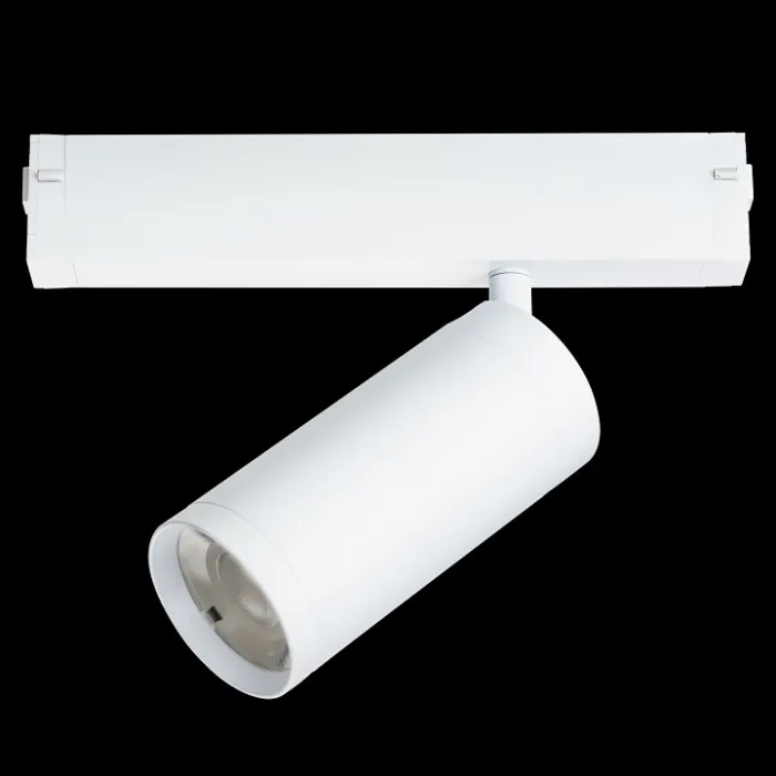 Светильник на штанге Lightstar Teta 205036 от ImperiumLoft