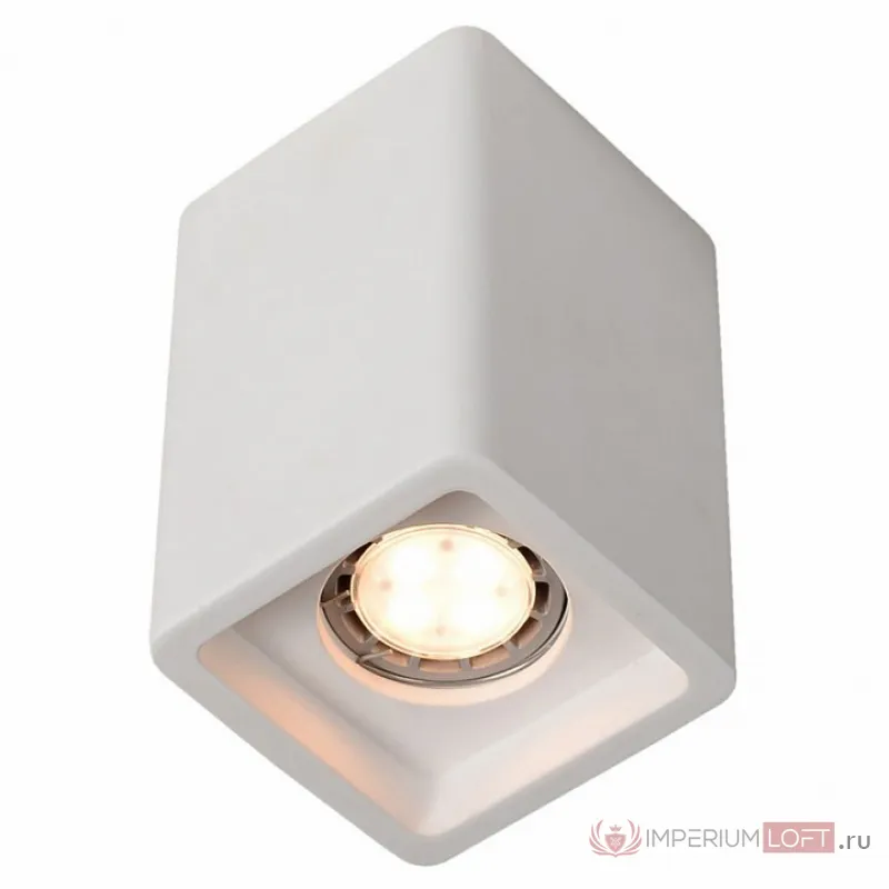 Накладной светильник Arte Lamp Tubo A9261PL-1WH Цвет арматуры белый Цвет плафонов белый от ImperiumLoft