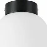 Накладной светильник Lightstar Globo 812017 Цвет арматуры черный Цвет плафонов белый от ImperiumLoft
