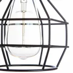 Накладной светильник Arte Lamp 1109 A1109PL-1BK Цвет арматуры черный Цвет плафонов черный