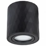 Накладной светильник Arte Lamp Fang 2 A5559PL-1BK