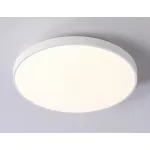 Накладной светильник Ambrella FZ FZ1220