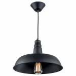 Подвесной светильник Citilux Эдисон CL450204 Цвет арматуры черный Цвет плафонов черный от ImperiumLoft