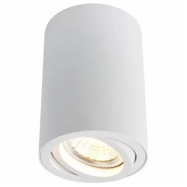 Накладной светильник Arte Lamp 1560 A1560PL-1WH Цвет арматуры белый Цвет плафонов белый