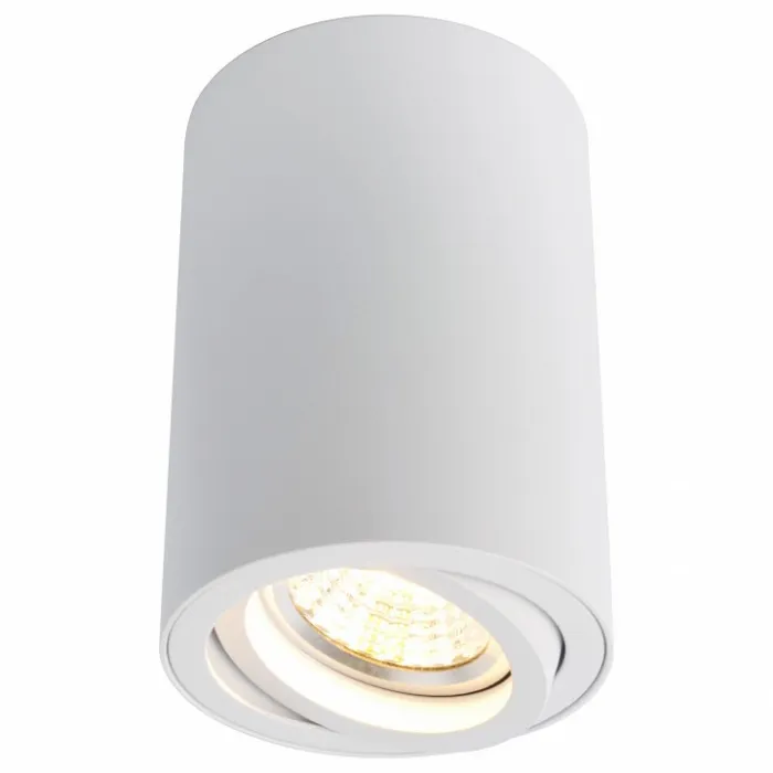 Накладной светильник Arte Lamp 1560 A1560PL-1WH Цвет арматуры белый Цвет плафонов белый от ImperiumLoft
