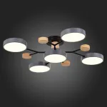 Потолочная люстра EVOLUCE Faema SLE6006-702-05 от ImperiumLoft