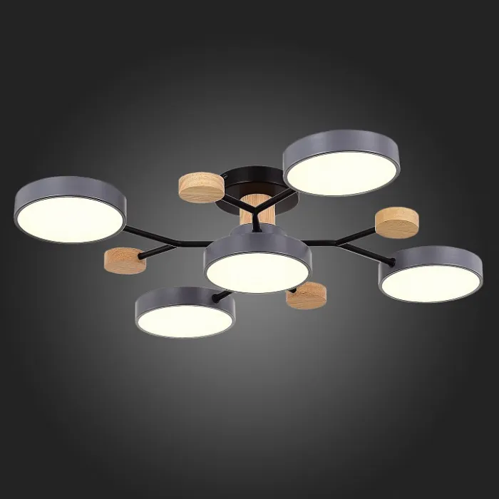 Потолочная люстра EVOLUCE Faema SLE6006-702-05 от ImperiumLoft