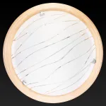 Потолочный светильник TopLight Gabrielle TL9610Y-00PN 