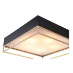 Накладной светильник ST-Luce Chodo SL1127.422.05 Цвет арматуры черный Цвет плафонов белый от ImperiumLoft