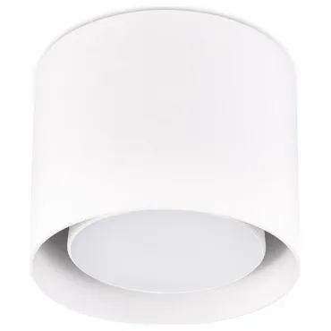 Накладной светильник Ambrella Techno 10 TN700 Цвет плафонов белый Цвет арматуры белый от ImperiumLoft
