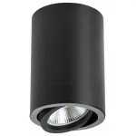 Накладной светильник Lightstar Rullo 214407 Цвет арматуры Черный Цвет плафонов Черный