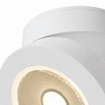 Накладной светильник Maytoni Alivar C022CL-L12W Цвет арматуры белый Цвет плафонов белый от ImperiumLoft