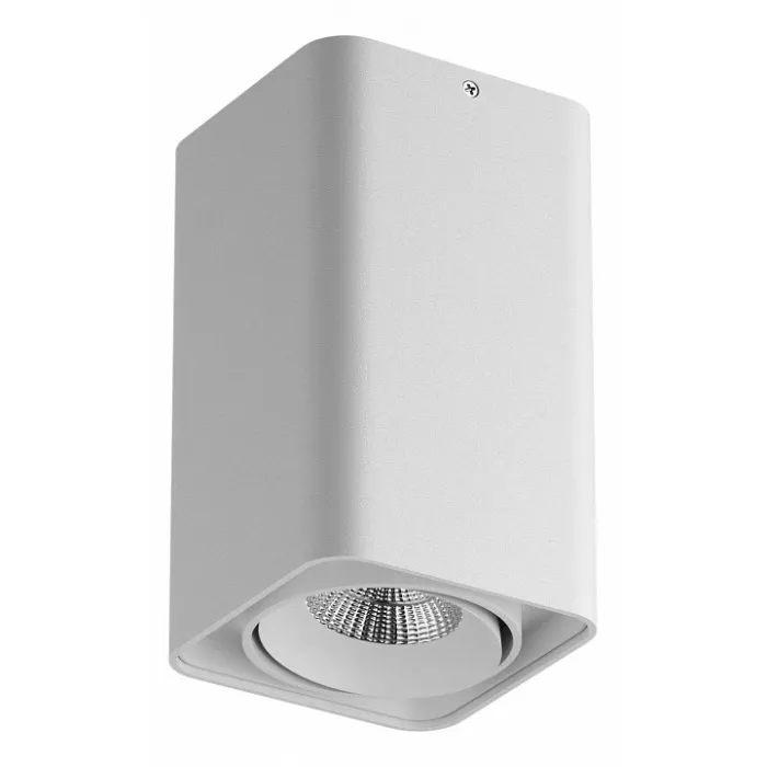 Накладной светильник Lightstar Monocco 212536 от ImperiumLoft