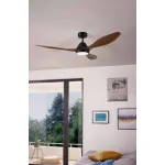 Потолочный светильник с вентилятором Eglo ПРОМО Antibes 35073