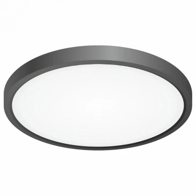 Потолочный светильник Citilux Бейсик CL738241V