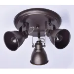 Спот MW-Light Ринген 547020403 Цвет арматуры золото Цвет плафонов золото от ImperiumLoft