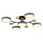 Потолочная люстра EVOLUCE Faema SLE6006-702-05 от ImperiumLoft