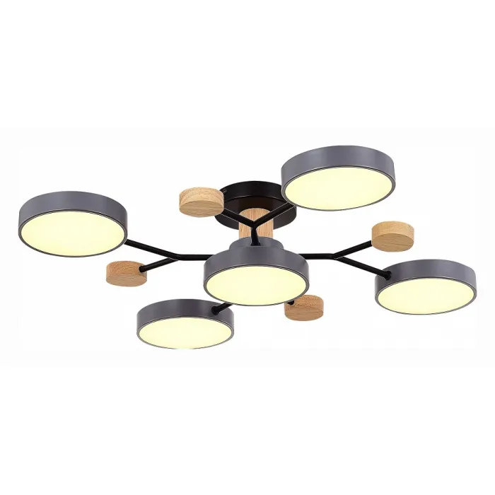 Потолочная люстра EVOLUCE Faema SLE6006-702-05 от ImperiumLoft