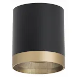 Накладной светильник Lightstar Rullo R348790