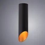Накладной светильник Arte Lamp Pilon-Silver A1535PL-1BK