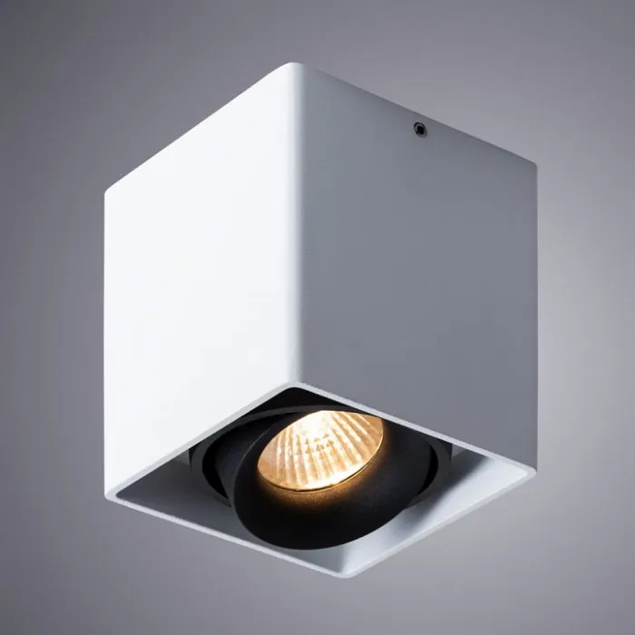 Накладной светильник Arte Lamp Pictor A5654PL-1WH от ImperiumLoft