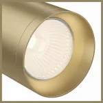 Спот Maytoni Focus C017CW-01MG Цвет арматуры латунь Цвет плафонов латунь от ImperiumLoft