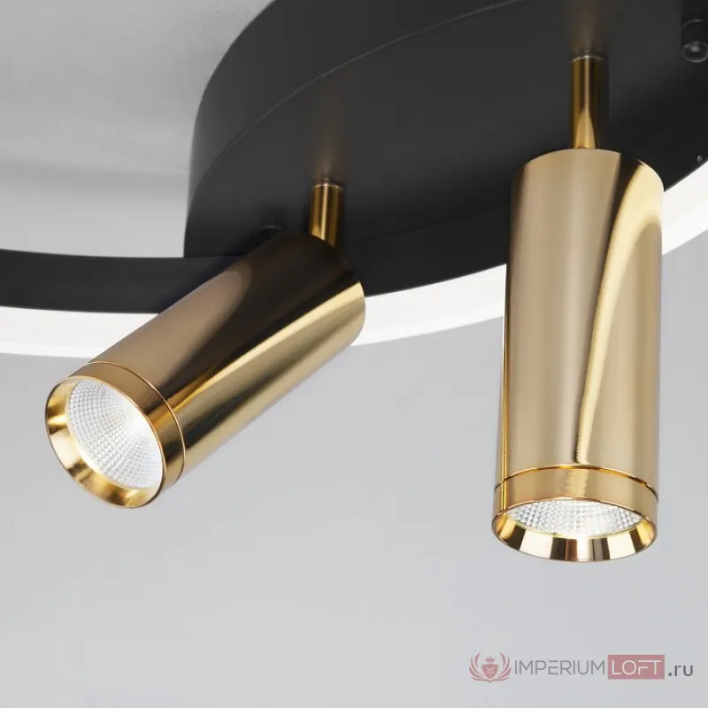 Накладной светильник Eurosvet Luminari 90247/3 черный/золото Smart от ImperiumLoft